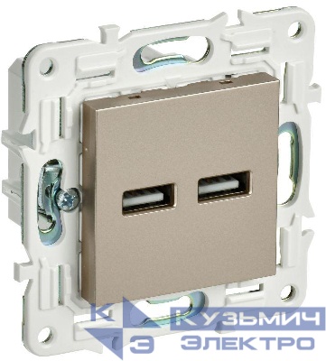 Розетка USB A+A 3.1А SKANDY SK-R15Sh шампань IEK SK-U21-D31-K37