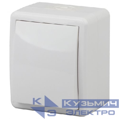 Выключатель 1-кл. ОП Эра Эксперт 10А IP54 11-1401-01 250В 10AX бел. Эра Б0020669