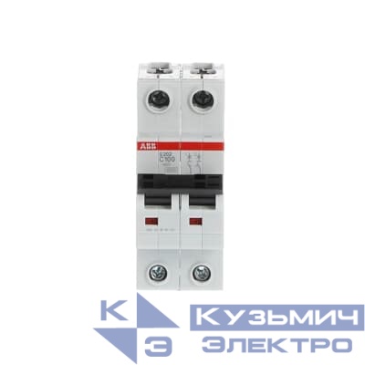 Автоматический выключатель 2-полюсный S202 C100  6кА   ABB 2CDS252001R0824