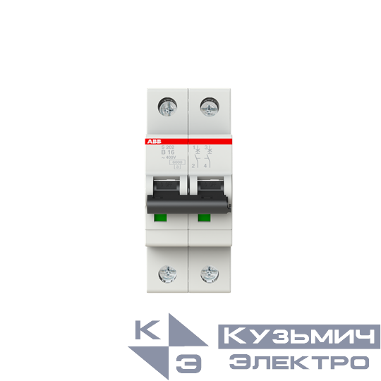 S202 B16  6кА  Автоматический выключатель 2-полюсный 2CDS252001R0165