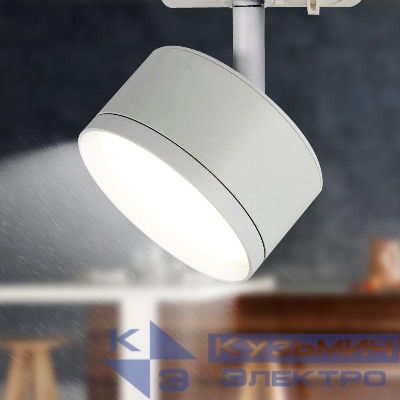 Светильник трековый TR48 GX53 1ф WH матов. бел. Эра Б0054158