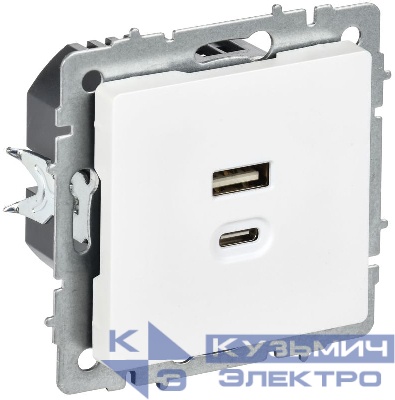 Розетка СП BRITE РЮ11-2-БрАБ USB A+C 45Вт высокоскор. заряд. арктич. бел. IEK BR-U22-045-K91