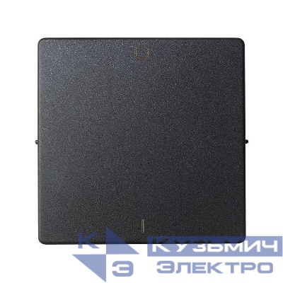 Клавиша для 75133-39 Simon82/82Nature графит 82031-38