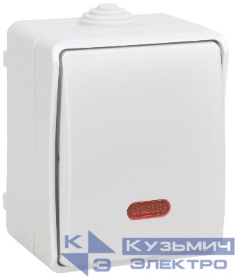 Выключатель проходной 1-кл. ОП Форс IP54 ВС20-1-1-ФБ с индикацией бел. IEK EVS11-K01-10-54-DC