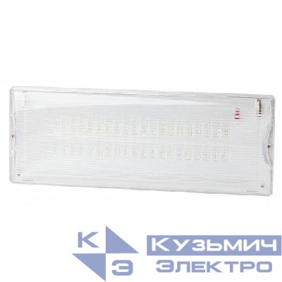 Светильник светодиодный DPA-301-1-65 IP65 40LED 3ч аварийный постоянный Эра Б0051843