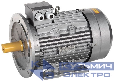 Электродвигатель АИС DRIVE 3ф 132SB2 220/380В 7.5кВт 3000об/мин 2081 IEK AIS132-B2-007-5-3020