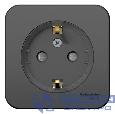 Розетка 1-м ОП Blanca 16А IP20 250В с заземл. защ. шторки с изолир. пластиной (компакт) антрацит SE BLNRA111116