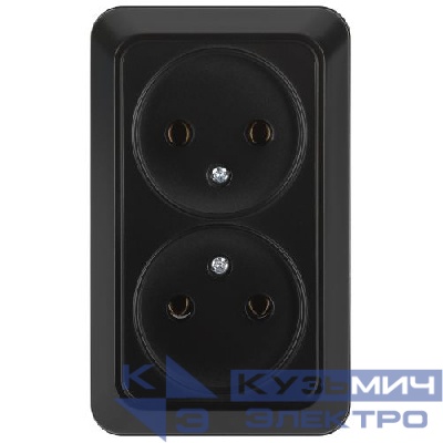 Розетка 2-м ОП Quadro 2-203-05 16А IP20 2х2P 250В без заземл. антрацит Intro Б0069695