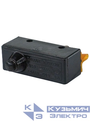 Микровыключатель МП 2102Л УХЛ3 исп. 03.1А 2-х пол. 10А 660В 1з+1р IP00 толкатель с увеличенным рабочим ходом базовый винты Электротехник ET004052