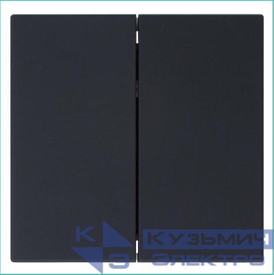 Выключатель 2-кл. СП FD 10А IP20 с накладкой механизм черн. матов. soft touch Jasmart FD3023PBM