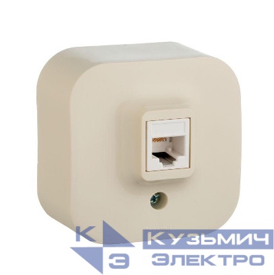 Розетка телефонная 1-м ОП Quteo RJ11 сл. кость Leg 782244