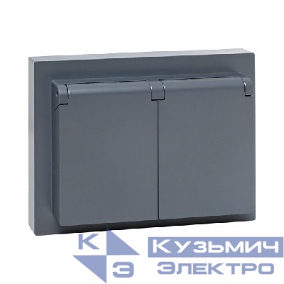 Розетка 2-м СП Эпика 16А IP44 с заземл. защ. шторки с рамкой с крышками механизм графит EKF UP1-SOG-211-44