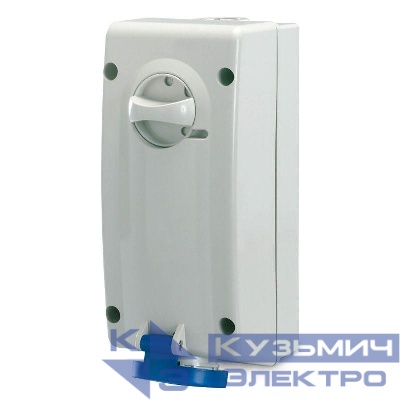 Розетка наружн. уст. 16А 230В 2P+E IP44 DKC DIS5601683