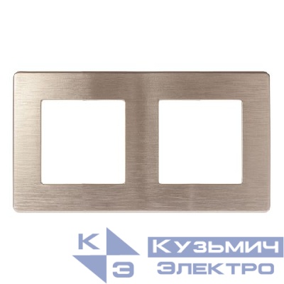 Рамка 2-м 12-5102-04 сатин шампань Эра Б0052512