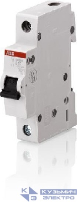 Выключатель автоматический модульный 1п C 25А 6кА SH201 C 25 ABB 2CDS211001R0254