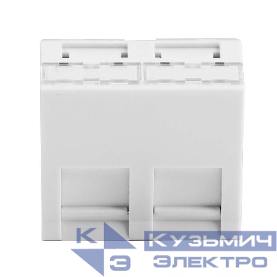 Вставка 45х45 для 2 модулей Keystone наклонная (аналог Mosaic) бел. DKC RNW452AWH