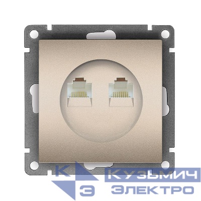 Розетка компьютерная 2-м СП Афина RJ45 кат.5E механизм шампань Universal A1086-Br