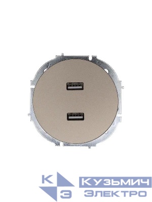 Розетка 2-м СП OSEN USB разъем механизм титан LEZARD 743-3788-192