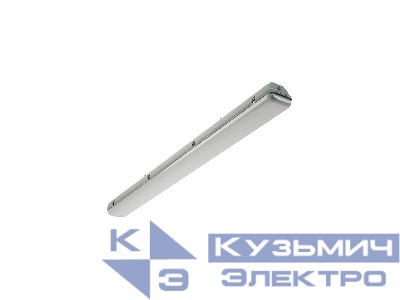 Светильник светодиодный LZ.OPL ECO LED 1200 48Вт 5000К IP65 потолочный СТ 1074000470