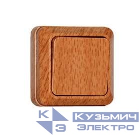 Переключатель проходной 1-кл. ОП Олимп 10А IP20 (еврослот) бук UNIVersal 7946697