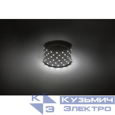 Лента светодиодная LS2835 -4.8-60-12-4000K-IP20-1 year-50m нейтр. бел. (уп.50м) Эра Б0059922