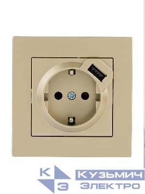 Розетка с заземл. + USB разъем VESNA зол. LEZARD 742-3688-181