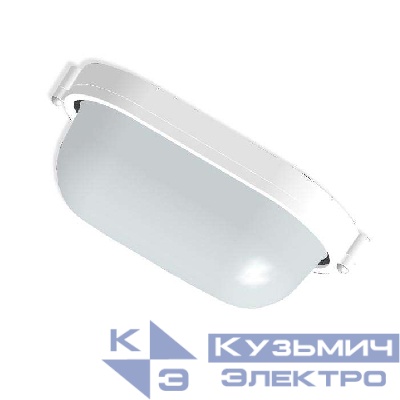 Светильник "Банник" 1401 НПП 03-60-021 1х60Вт E27 IP65 овал малый корпус бел. Элетех 1005500938