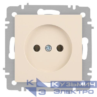 Розетка 1-м СП Accent 6-201-02 16А IP20 250В 2P сл. кость Intro Б0063659