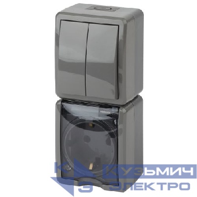 Блок розетка+выкл. ОП Эра Эксперт 11-7408-03 16А(10AX)-250В двойн. верт. IP54 сер. ЭРА Б0036007