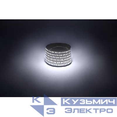Лента светодиодная LS2835 -14.4-180-12-6500K-IP20-1 year-5m холод. бел. (уп.5м) Эра Б0059905