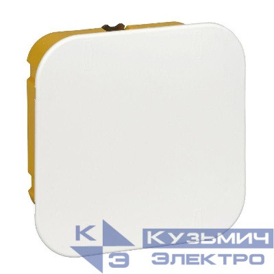 Коробка распределительная 100х100х50мм для полых стен DIY SE IMT351611