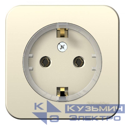 Розетка 1-м ОП Blanca 16А IP20 250В с заземл. без защ. шторок с изолир. пластиной (компакт) молоч. SE BLNRA110112