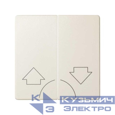 Клавиша двойная для 75396-39 Simon82/82Nature сл. кость 82029-31