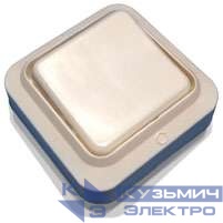 Выключатель 1-кл. ОП 6.3А IP20 А16-У01 бел. БЕЛ. ЦЕРКОВЬ А16-У01