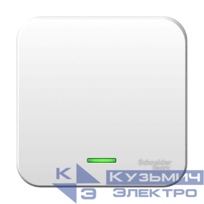 Выключатель 1-кл. ОП Blanca 10А IP20 (сх. 1) 250В с подсветкой с металлич. пластиной бел. SE BLNVA101121