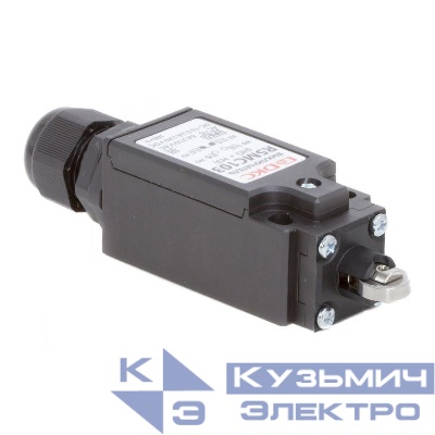 Выключатель концевой с двумя контактами нормально открытый + нормально закрытый (NO+NC). С роликом. DKC R5MC103