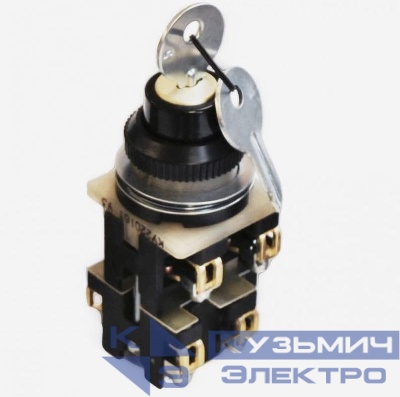 Выключатель кнопочный КУ110161 ЧЭАЗ A8119-80080201