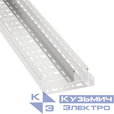 Разделитель для лотка H=50мм L3000 EKF p503