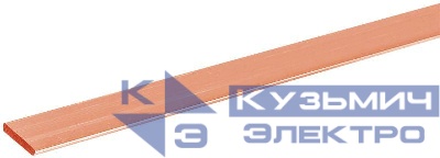 Шина М1Т 6х50 L4000 IEK YBC10-06-050
