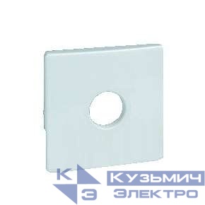 Накладка для моно разъема Simon82 сл. кость 82057-31