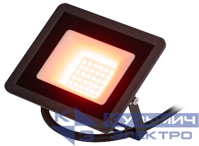 Прожектор светодиодный уличный LPR-025-RED-030 30Вт красн. свечение 600лм IP65 Эра Б0064721