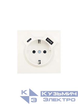 Розетка 1-мест. с/з Type-C+USB разъем СП ZIMA IP20 слон. кость LEZARD 704-9088-181TC