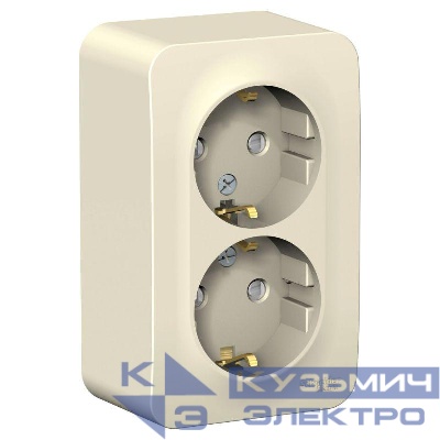 Розетка 2-м ОП Blanca 16А IP20 250В с заземл. защ. шторки с изолир. пластиной молоч. SE BLNRA011212
