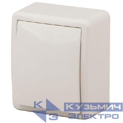 Выключатель 1-кл. ОП Эра Эксперт 10А IP20 11-1201-02 250В 10AX сл. кость Эра Б0020655