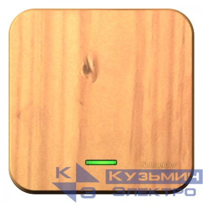 Выключатель 1-кл. ОП Blanca 10А IP20 (сх. 1) 250В с подсветкой с изолир. пластиной ясень SE BLNVA101115