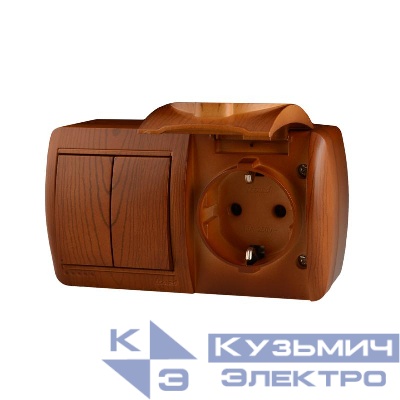 Блок Nata (розетка с заземл. с защ. крышкой + 2-кл. выкл.) сосна LEZARD 710-0800-171