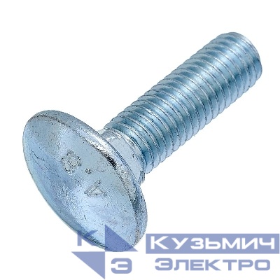 Болт М 6х20 DIN 603 цинк европодвес (уп.10шт) СТРОЙМЕТИЗ 318006101