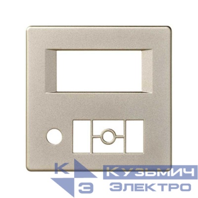 Накладка на 75252-39 Simon82/82Nature шампань 82058-34