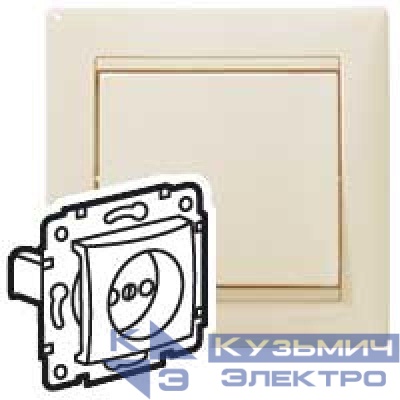 Механизм розетки 1-м СП Valena 2К 16А без заземл. сл. кость (DIY-упак.) Leg 695611
