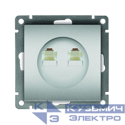 Розетка компьютерная 2-м СП Афина RJ45 кат.5E механизм серебр. Universal A1086-S